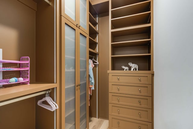 6128 Lookaway Cir, Franklin, TN 37067 - view of walk in closet