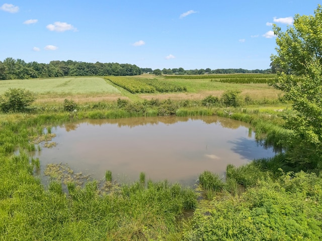 4791 Short Mountain Rd, Woodbury, TN 37190 - photo 74