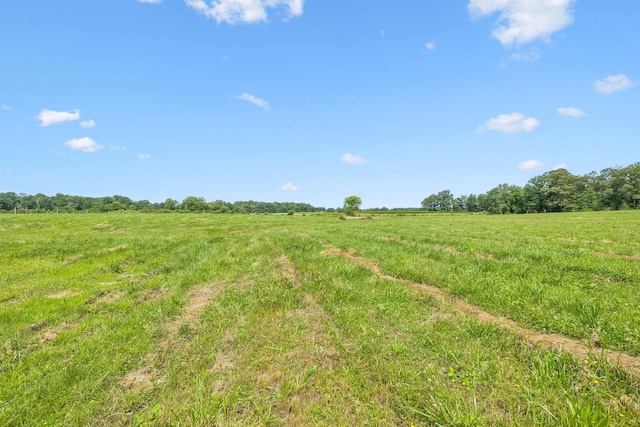 4791 Short Mountain Rd, Woodbury, TN 37190 - photo 66