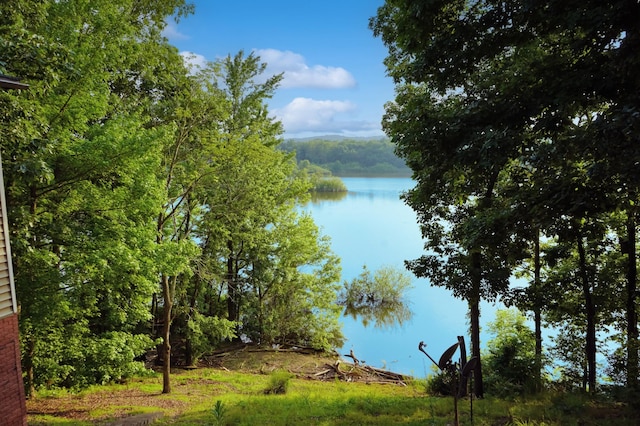 211 Lewis Cir, Dover, TN 37058 - water view featuring a forest