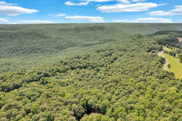 0 Bluff Vw, Spencer, TN 38585