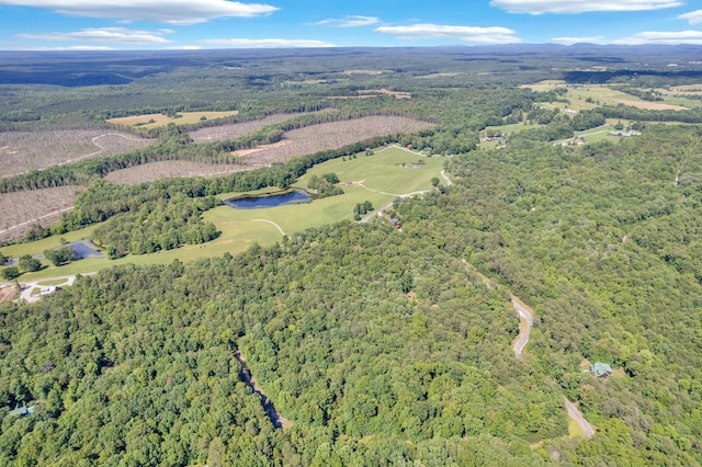 0 Bluff Vw, Spencer, TN 38585