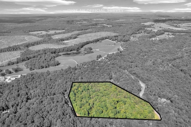 0 Bluff Vw, Spencer, TN 38585