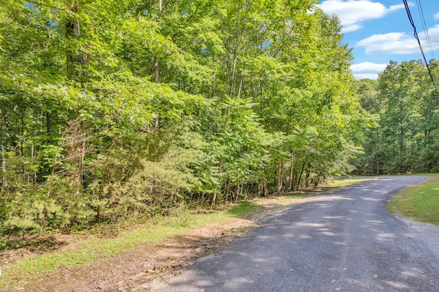0 Bluff Vw, Spencer, TN 38585