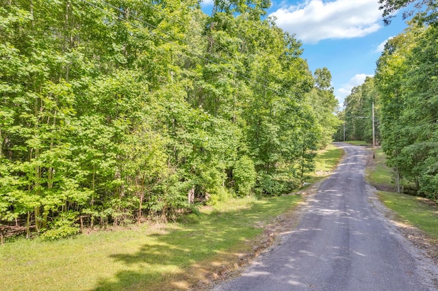 0 Bluff Vw, Spencer, TN 38585