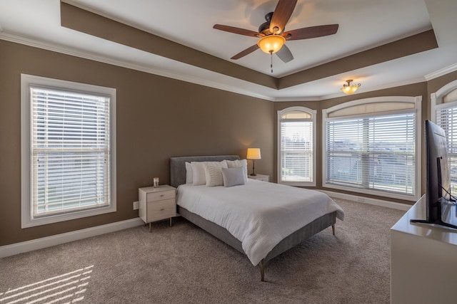 160 Dobson Knob Trl, Nolensville, TN 37135 - bedroom featuring a tray ceiling, carpet flooring, and crown molding