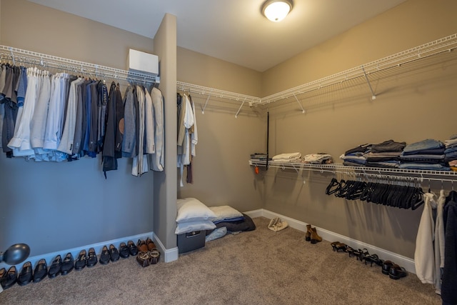 160 Dobson Knob Trl, Nolensville, TN 37135 - walk in closet with carpet floors