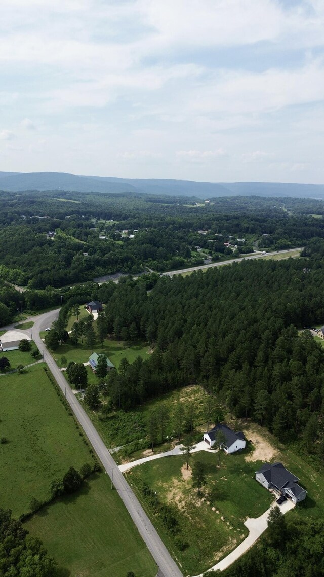 3773 Blythe Ferry Rd, Dayton, TN 37321 - photo 26