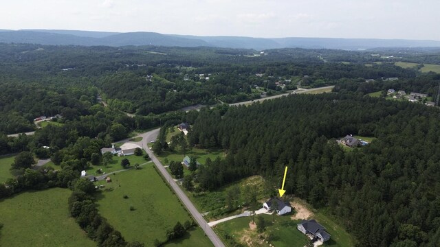 3773 Blythe Ferry Rd, Dayton, TN 37321 - photo 32