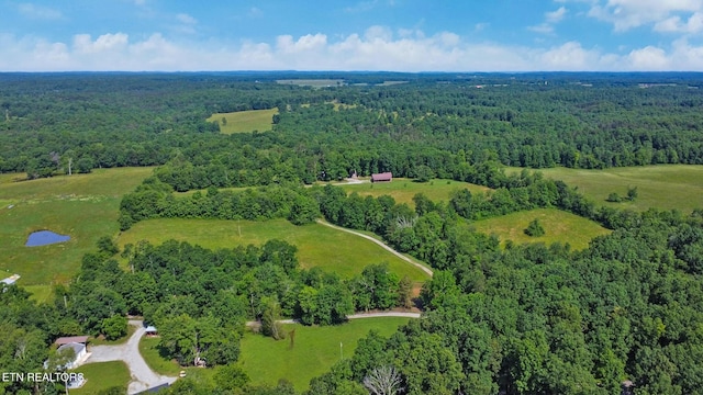 40 Diamond Padgett Ln, Monterey, TN 38574 - photo 47