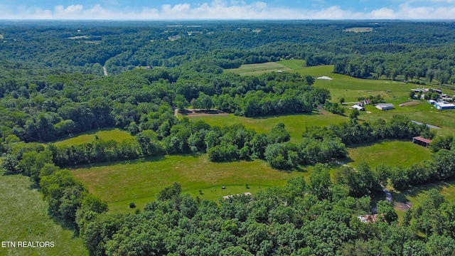 40 Diamond Padgett Ln, Monterey, TN 38574 - photo 51