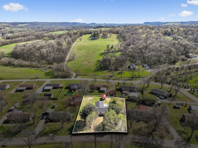 1536 Sandy St, Lewisburg, TN 37091 - photo 43