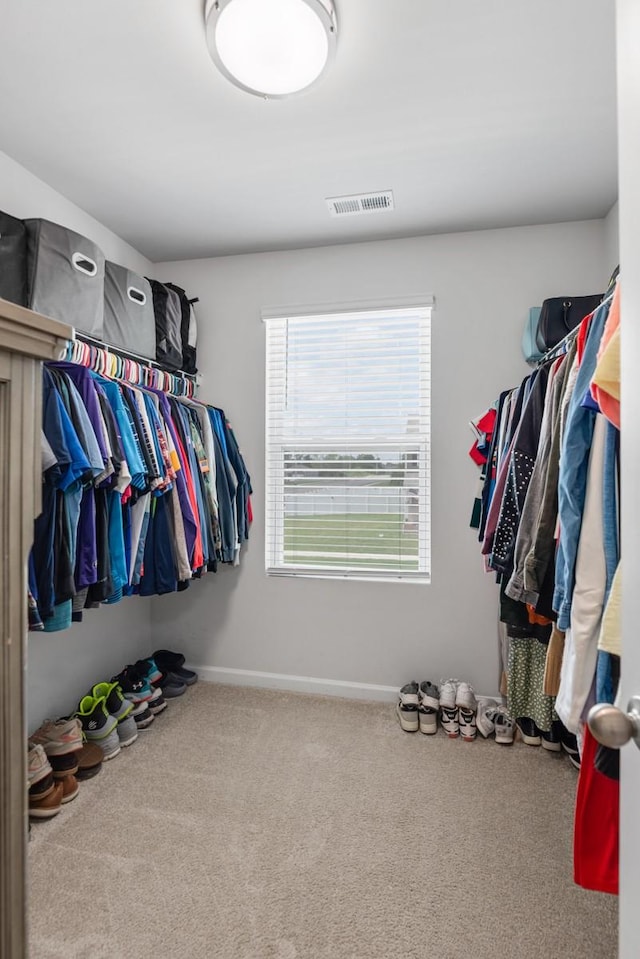 2400 Kaycee Ct, Lebanon, TN 37087 - spacious closet with carpet floors