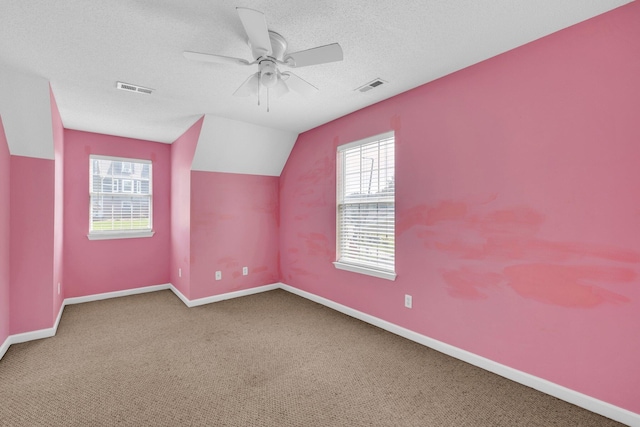 1128 Tiftonia View Rd, Chattanooga, TN 37419 - additional living space with plenty of natural light, a ceiling fan, vaulted ceiling, carpet, and a textured ceiling