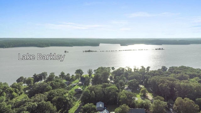 70 Nancy Ave, Cadiz, KY 42211 - aerial view of a large body of water