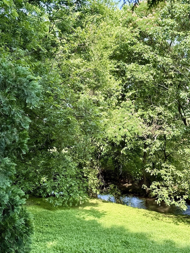 206 Stillcreek Dr, Franklin, TN 37064 - view of green lawn with a wooded view