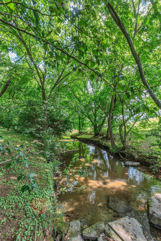 206 Stillcreek Dr, Franklin, TN 37064 - photo 3