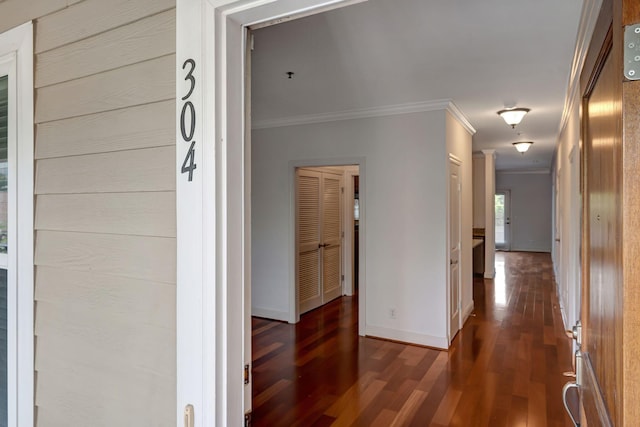301 Criddle St Unit 304, Nashville, TN 37219 - hallway with dark wood-type flooring and crown molding