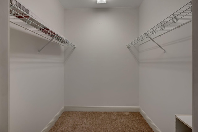 301 Criddle St Unit 304, Nashville, TN 37219 - walk in closet with carpet
