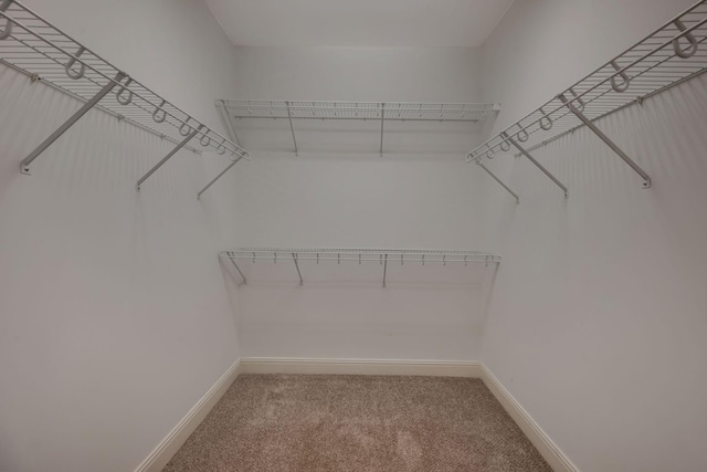 301 Criddle St Unit 304, Nashville, TN 37219 - walk in closet with carpet floors