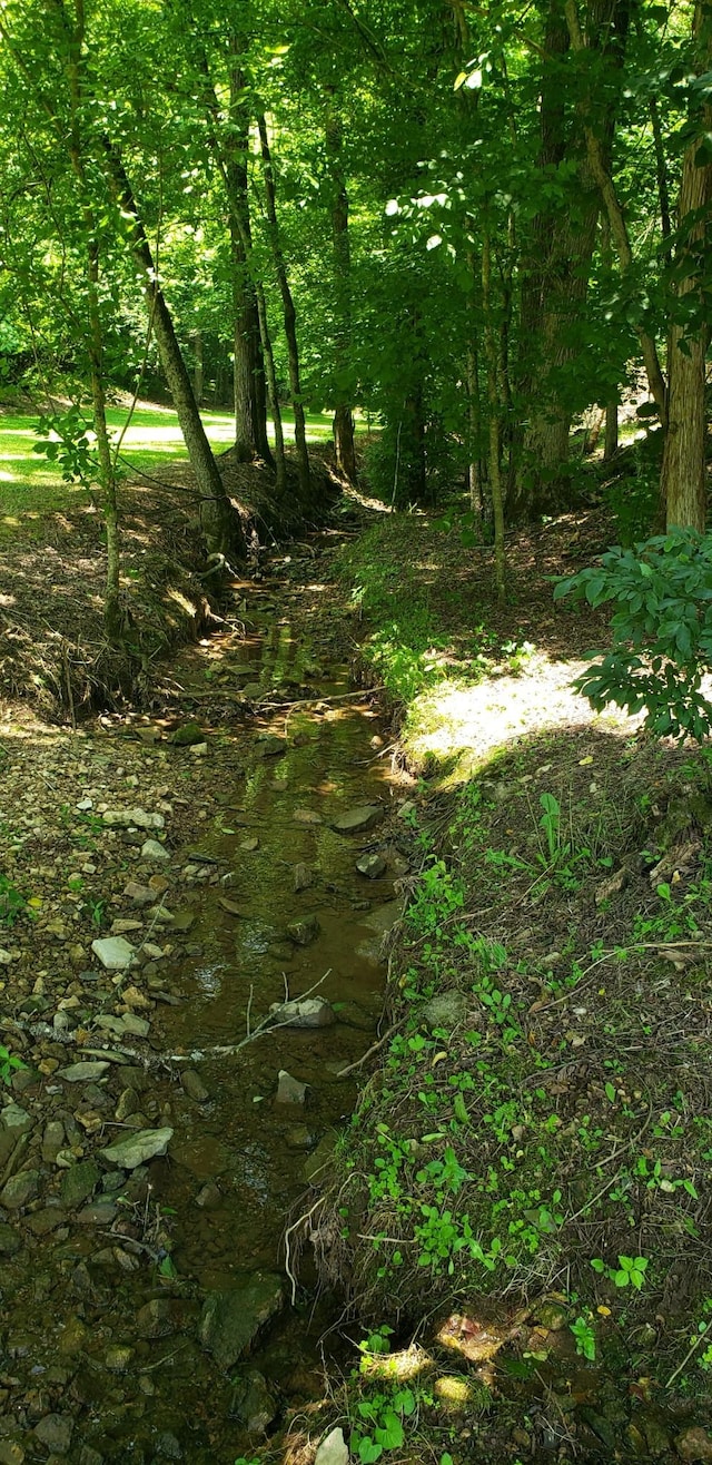 49 Je Sartain Rd, Manchester, TN 37355 - view of nature