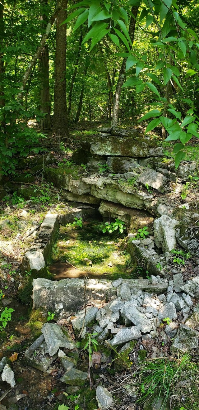 49 Je Sartain Rd, Manchester, TN 37355 - view of undeveloped land