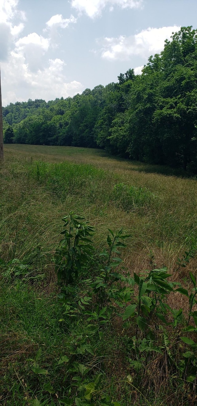 49 Je Sartain Rd, Manchester, TN 37355 - view of wooded area with a rural view