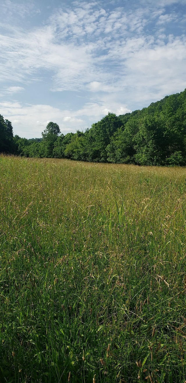 49 Je Sartain Rd, Manchester, TN 37355 - view of tree filled area with a view of countryside
