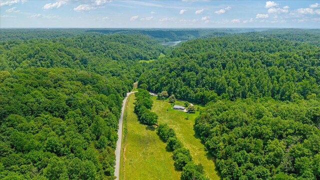 49 Je Sartain Rd, Manchester, TN 37355 - bird's eye view of a forest