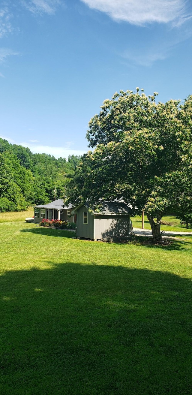 49 Je Sartain Rd, Manchester, TN 37355 - view of green lawn featuring a storage unit and a view of trees