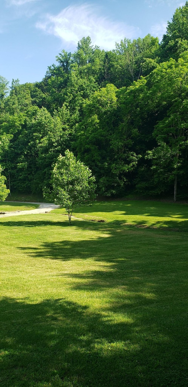 49 Je Sartain Rd, Manchester, TN 37355 - view of green lawn with a forest view