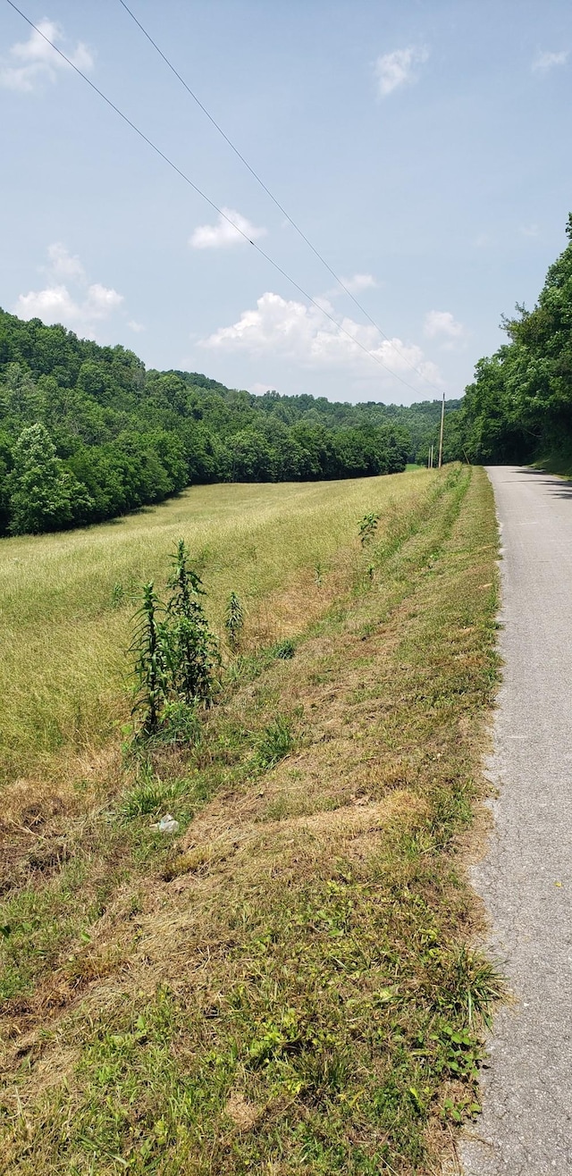 49 Je Sartain Rd, Manchester, TN 37355 - view of asphalt street with a view of countryside and a forest view