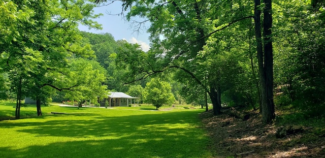 49 Je Sartain Rd, Manchester, TN 37355 - view of home's community with a lawn and a wooded view