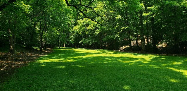 49 Je Sartain Rd, Manchester, TN 37355 - view of grassy yard featuring a wooded view