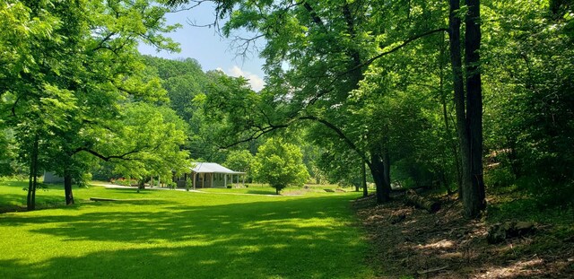 49 Je Sartain Rd, Manchester, TN 37355 - view of home's community with a lawn and a wooded view