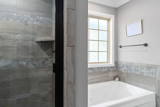 1148 Folly Beach Dr, Clarksville, TN 37042 - full bath with a jetted tub, a stall shower, and ornamental molding