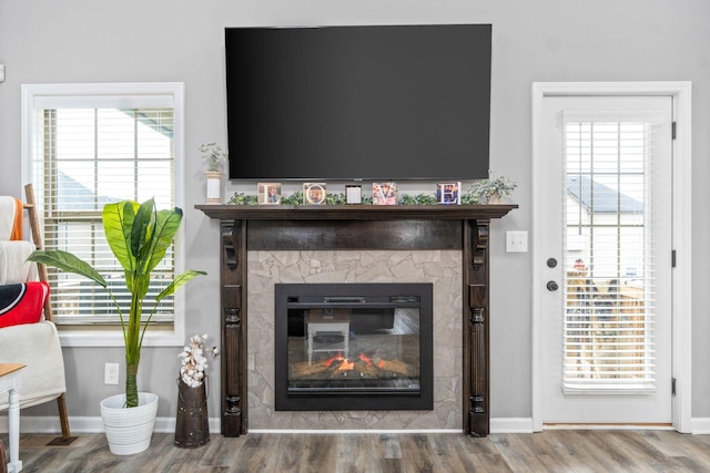 1148 Folly Beach Dr, Clarksville, TN 37042 - detailed view of a glass covered fireplace and wood finished floors