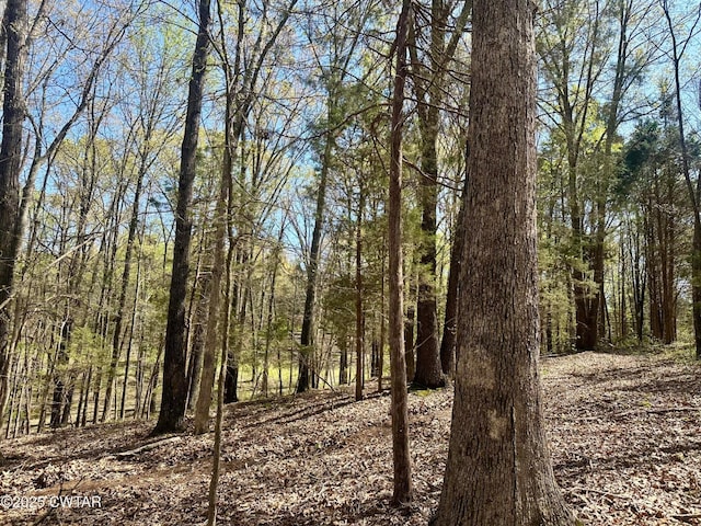 0 Southshore Dr, Jackson, TN 38305 - photo 3