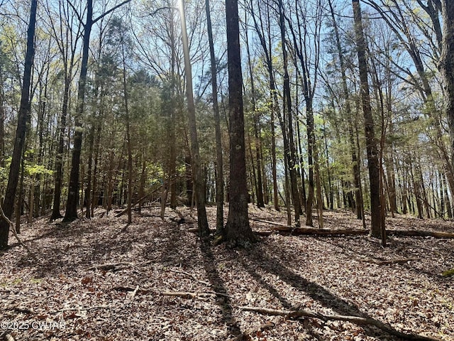 0 Southshore Dr, Jackson, TN 38305 - photo 4