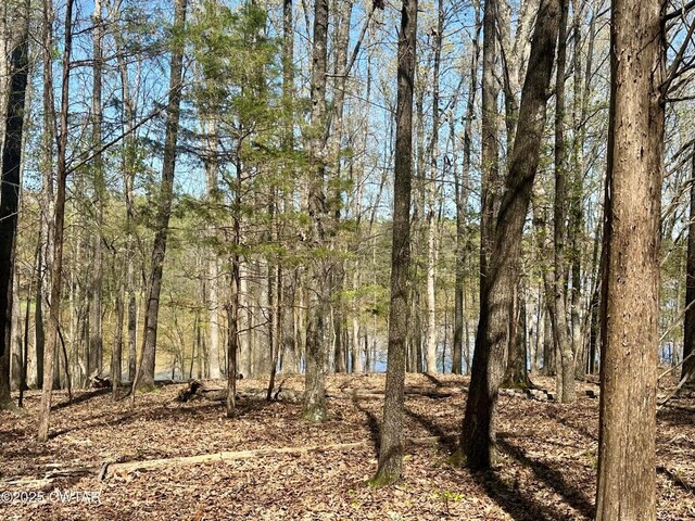 0 Southshore Dr, Jackson, TN 38305 - photo 9
