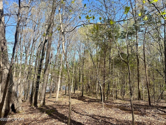 0 Southshore Dr, Jackson, TN 38305 - photo 2
