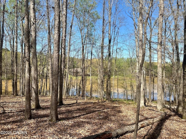0 Southshore Dr, Jackson, TN 38305 - photo 1