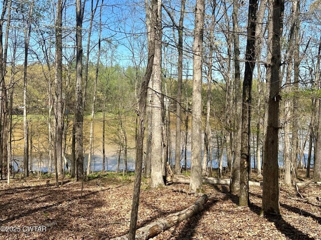 0 Southshore Dr, Jackson, TN 38305 - photo 8