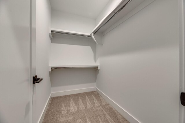 117 Shadow Springs Dr Unit 117, Brentwood, TN 37027 - spacious closet featuring carpet flooring