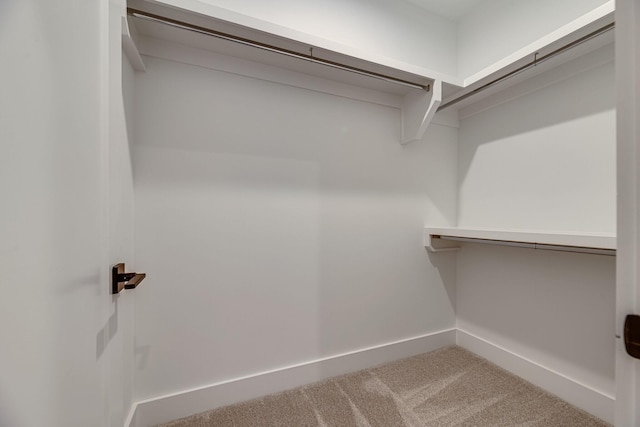 117 Shadow Springs Dr Unit 117, Brentwood, TN 37027 - walk in closet featuring carpet floors