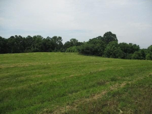 386 Belotes Bend Rd, Castalian Springs, TN 37031