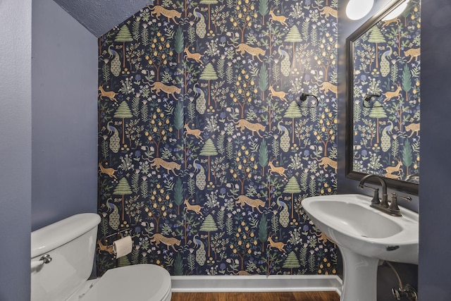 2135 Loudenslager Dr, Thompsons Station, TN 37179 - half bathroom with wood finished floors and toilet