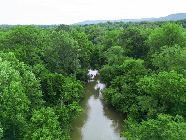 219 Thomas Farms Ln, Morrison, TN 37357 - photo 16