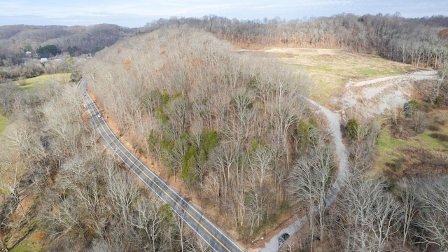 0 Whites Creek Pike, Whites Creek, TN 37189 - photo 13