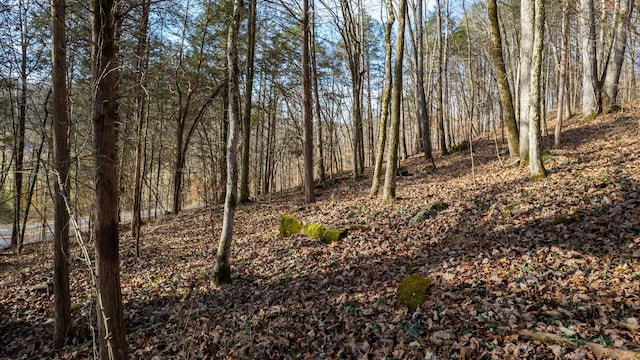 0 Whites Creek Pike, Whites Creek, TN 37189 - photo 16
